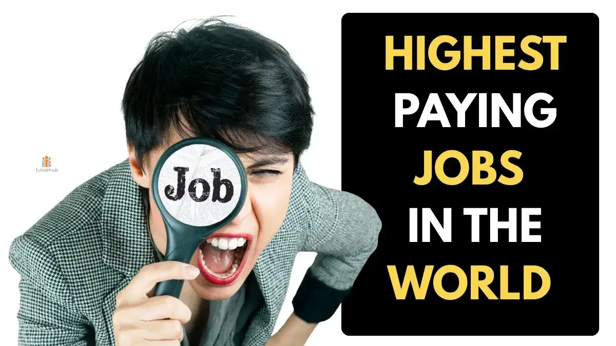 Best Paid Jobs Worldwide in 2026–2030 (Salary, Skills & Countries)