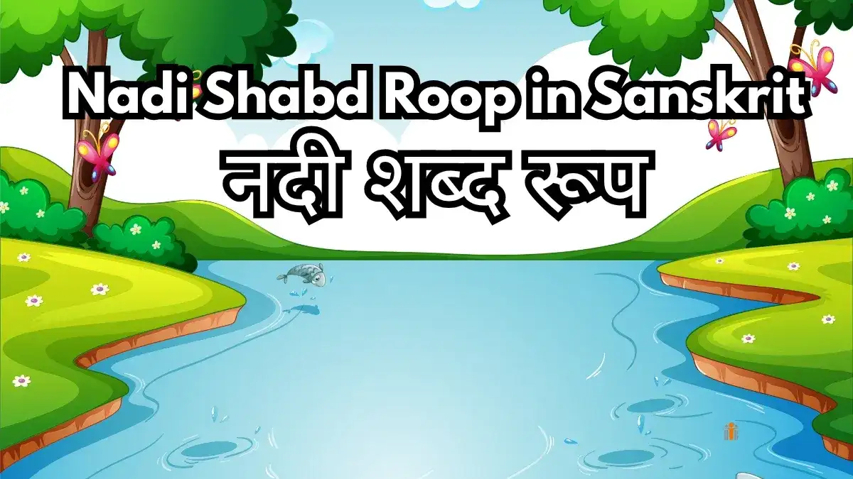 नदी शब्द रूप संस्कृत में अभ्यास | Nadi Shabd Roop in Sanskrit