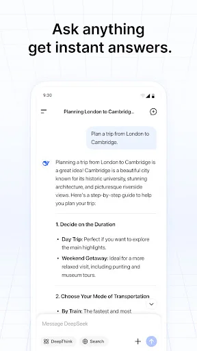 DeepSeek - AI Assistant