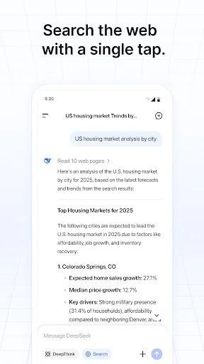 DeepSeek - AI Assistant