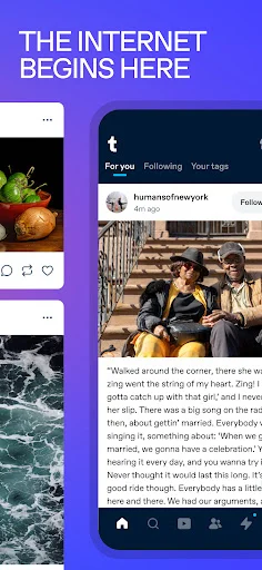 Tumblr - Social Media & Art