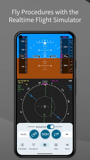 IFR Flight Simulator