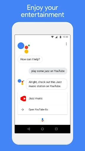 Google Assistant Go