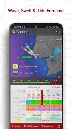Windy.com - Weather Forecast