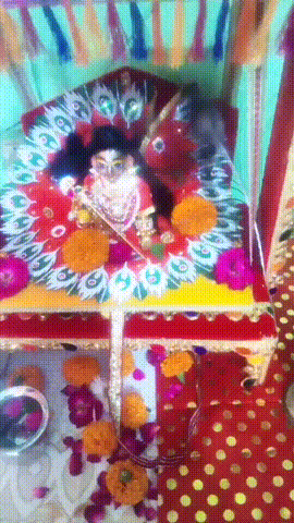 showtalent/gifs/612c9982bd8a3858982239.jpg