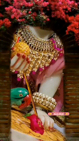 showtalent/gifs/6131cae18c8c7323627817.jpg