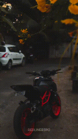 showtalent/gifs/623d6b0a99bdb2056539029.jpg