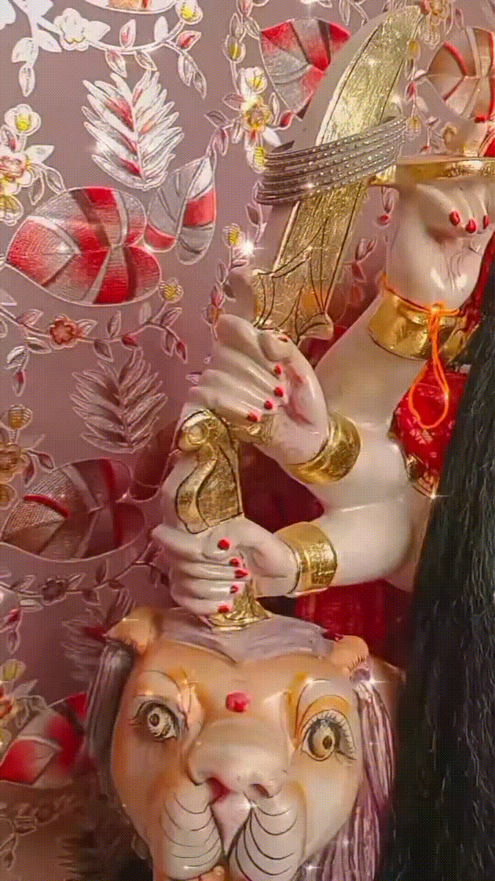 showtalent/gifs/68d133dc03a9a2083439617.gif