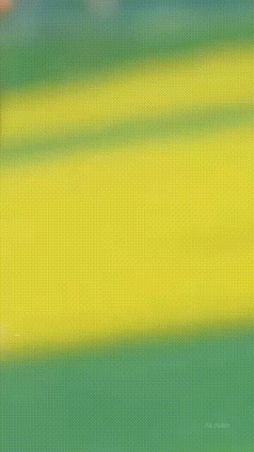 showtalent/gifs/68ef44b82e91f1110622668.gif