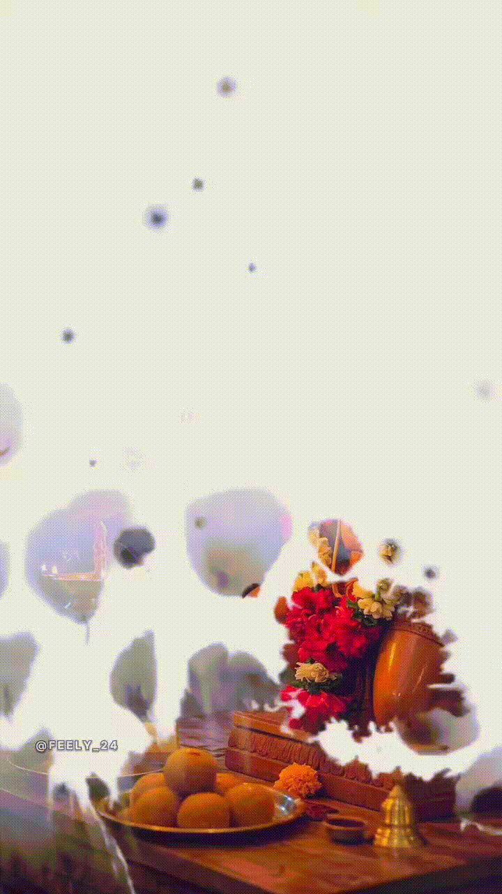 showtalent/gifs/6900573c556eb1501102188.gif