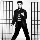 TuteeHUB Interview Questions Elvis Presley Trending Category