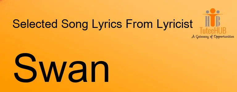 Swan