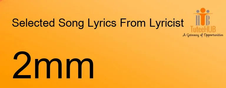 2mm