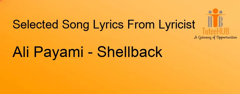 Ali Payami - Shellback