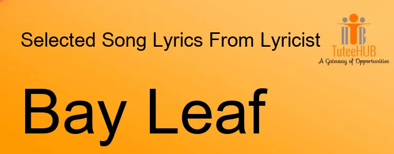 Bay Leaf