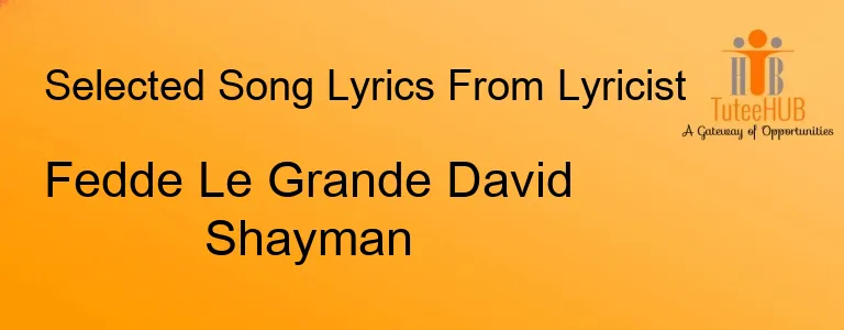 Fedde Le Grande David Shayman