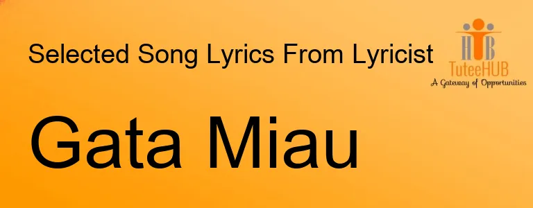 Gata Miau