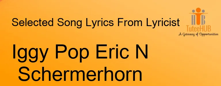 Iggy Pop Eric N Schermerhorn