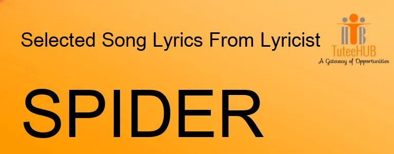 SPIDER