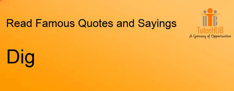 Dig