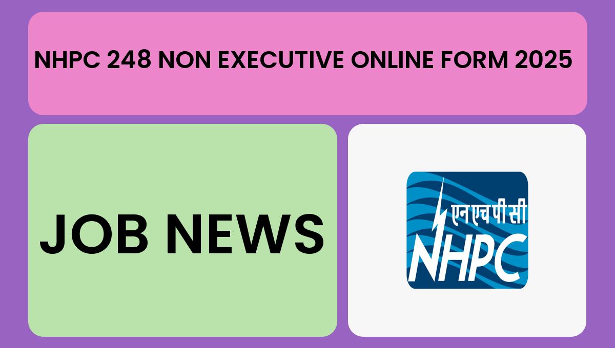 Summary For NHPC 248 Non Executive Online Form 2025