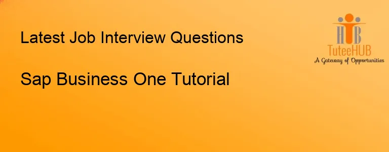 Sap Business One Tutorial
