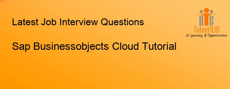 Sap Businessobjects Cloud Tutorial