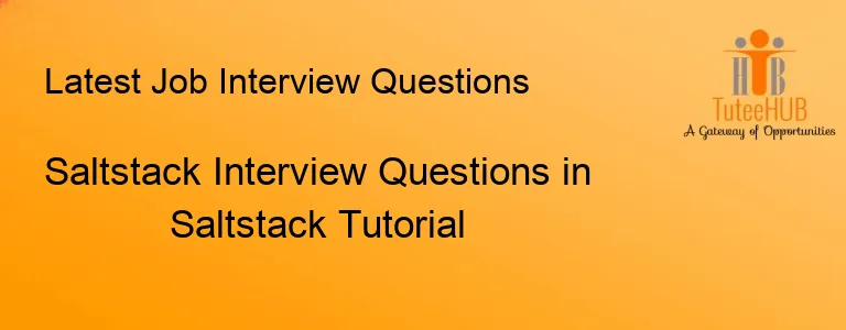 Saltstack Interview Questions in Saltstack Tutorial
