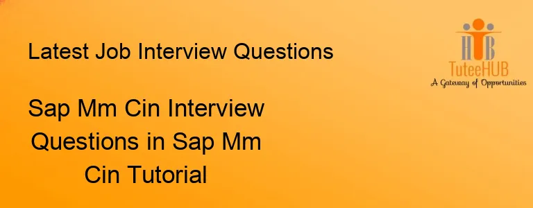 Sap Mm Cin Interview Questions in Sap Mm Cin Tutorial