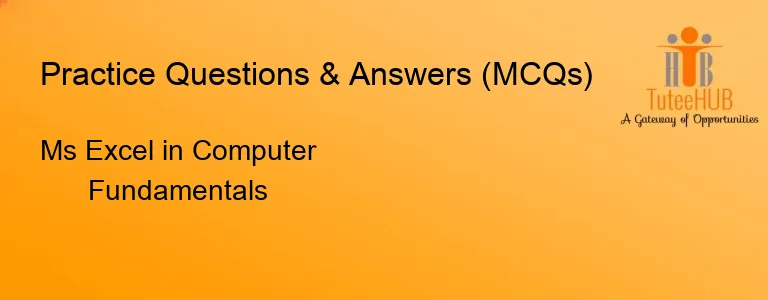 Ms Excel in Computer Fundamentals